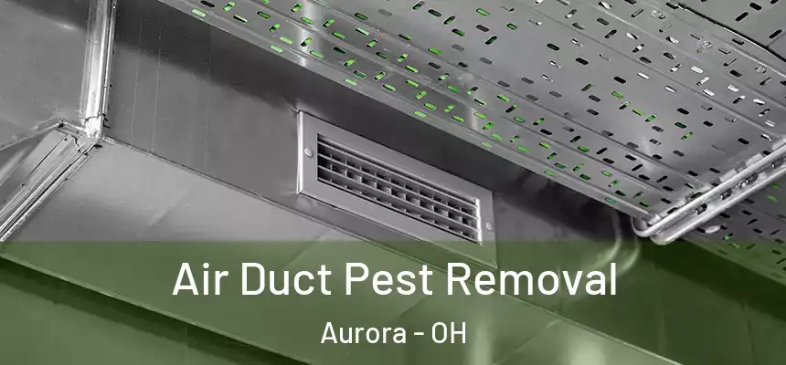 Air Duct Pest Removal Aurora - OH