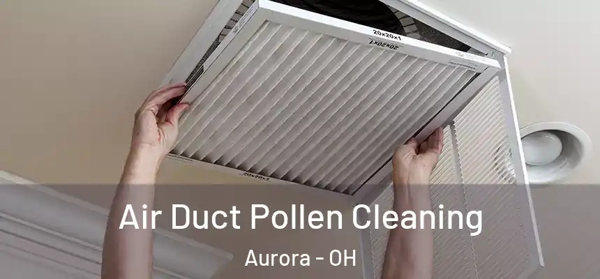 Air Duct Pollen Cleaning Aurora - OH