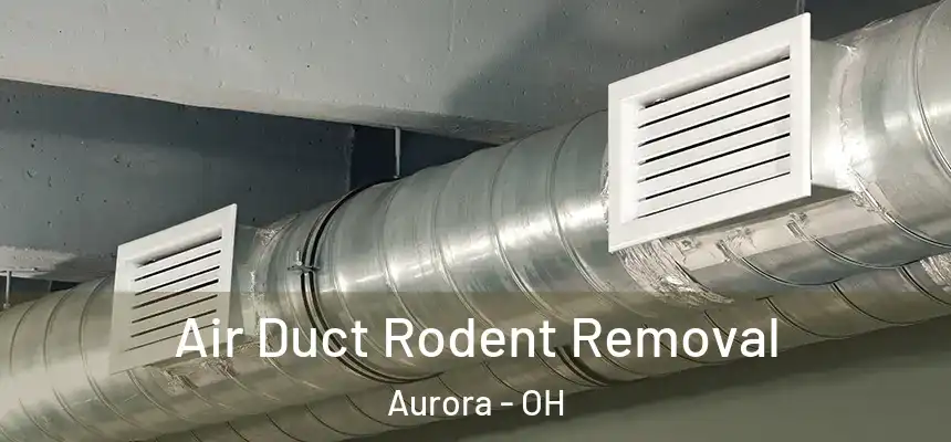  Air Duct Rodent Removal Aurora - OH