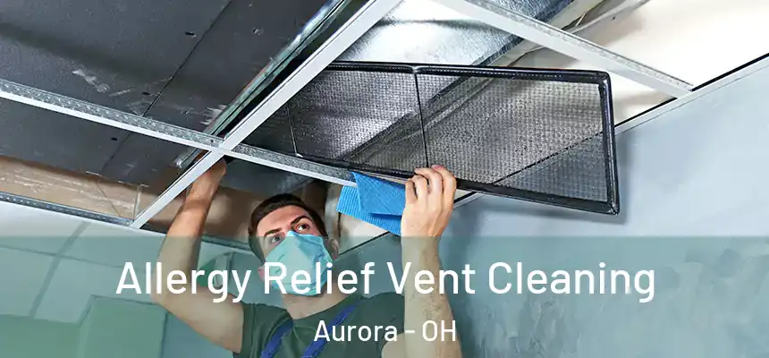 Allergy Relief Vent Cleaning Aurora - OH
