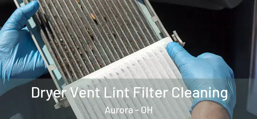 Dryer Vent Lint Filter Cleaning Aurora - OH