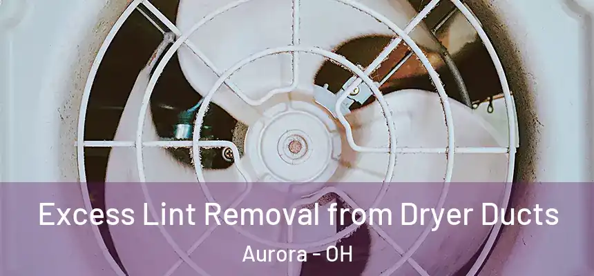  Excess Lint Removal from Dryer Ducts Aurora - OH