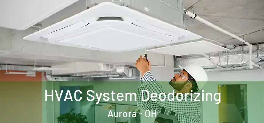HVAC System Deodorizing Aurora - OH