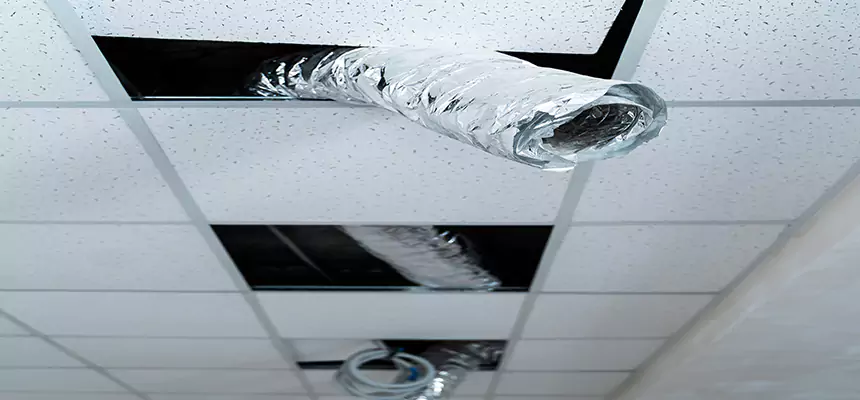 Our Air Duct Pet Hair Removal Services in Aurora, OH