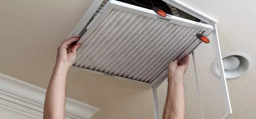 Our Insect Removal from Air Ducts Services in Aurora, OH