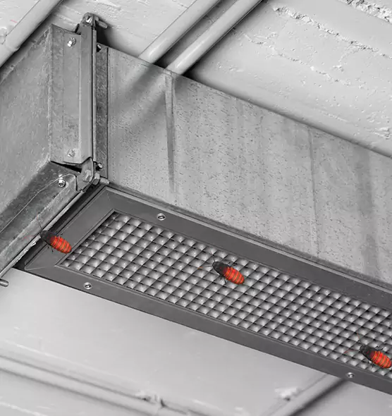 About Air Duct Cockroach Removal in Aurora, OH